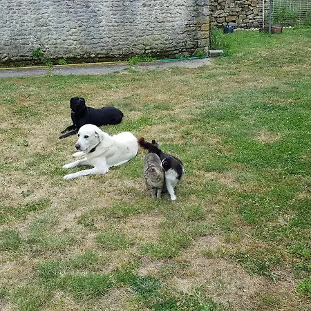 4 Personnes Au Lupin Couette-café